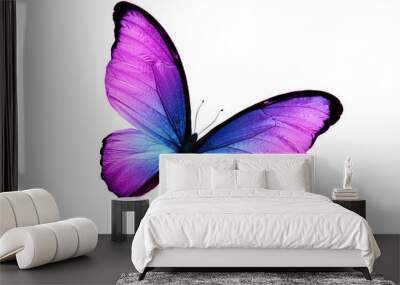 beautiful purple butterfly isolated on white background Wall mural