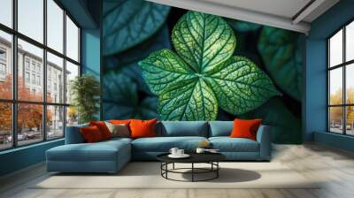 Detailed view of a leaf on a plant, suitable for botanical and nature themes Wall mural