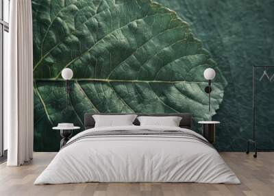 Detailed view of a leaf on a table. Suitable for nature and environmental themes Wall mural