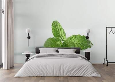 Fresh mint leaf on a clean white background. Suitable for food and health concepts Wall mural