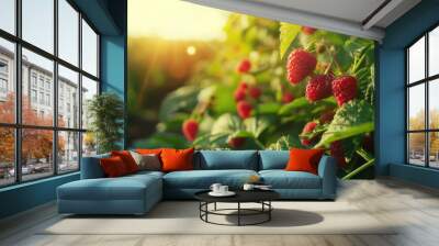 Fresh raspberries growing in a field, ideal for food and agriculture concepts Wall mural