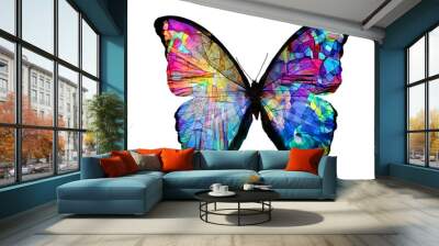 multicolored butterfly isolated on white background Wall mural