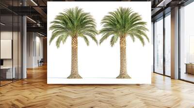 Two palm trees standing together in a natural setting Wall mural