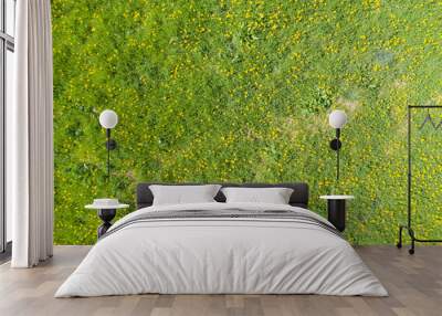 Look down on a meadow with blooming dandelions in the Taunus / Germany  Wall mural