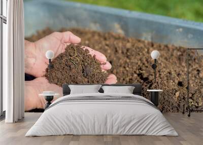 Fresh compost in two hands with a weelbarrow Wall mural