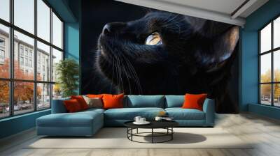 Portrait of a black cat on a dark background Wall mural