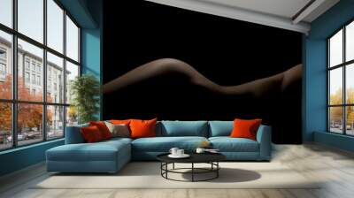 Silhouette of a body part , nude woman isolated on black background Wall mural