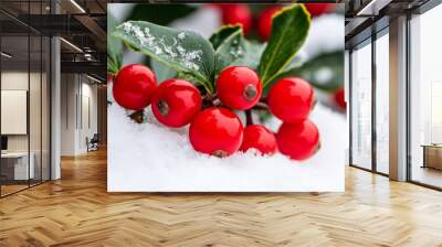 Bright red winterberries standing out against the snow in a winter garden, adding color to the cold landscape  Wall mural