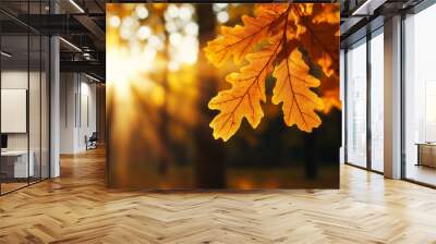 Oak leaves in warm autumn colors with a sunbeam and blurred tree trunks  Wall mural