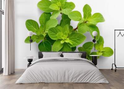 Oregano top view,  isolated onTransparent Wall mural