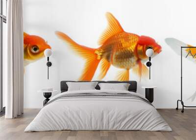 Set of five vibrant goldfish isolated on transparent background, ideal for pet care, aquariums, and Lunar New Year celebrations concepts Wall mural