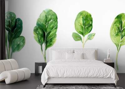 Set of watercolor spinach leaves on white background  Wall mural