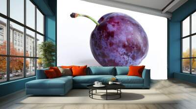 Single ripe plum isolated on a white background, perfect for a minimalist design  Wall mural