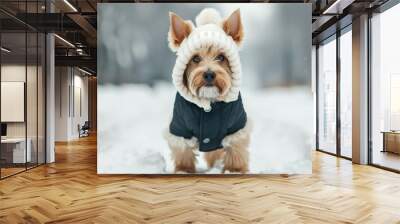 Small dog in a stylish winter coat, walking on a snowy trail with snow-covered trees in the background  Wall mural