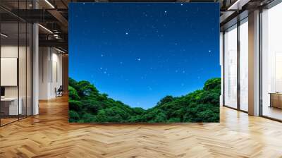 Starry night sky on New Years Eve in a tropical location background with empty space for text  Wall mural