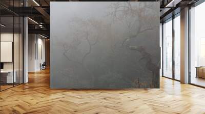 Misty forest Wall mural