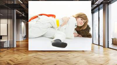 Judo Wall mural