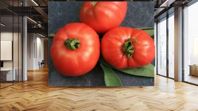 Organic tomato from rural permaculture. Home country garden. Wall mural