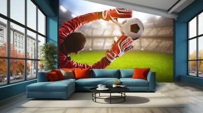 Goalkeeper catches a soccer ball Wall mural