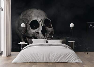 Human skull on dark background Wall mural