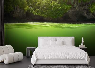 Underwater river landscape with sunlight, Nature background. Wall mural