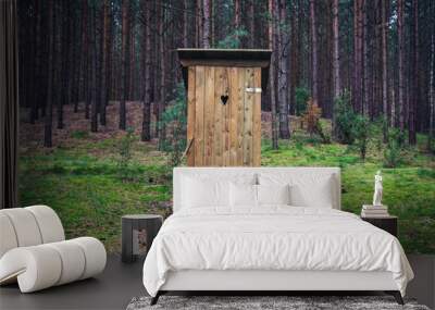 Outhouse in forest, Dziemiany commune of Cassubia region in Poland Wall mural