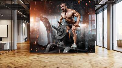 Athlete muscular bodybuilder in the gym training back with T-bar Wall mural