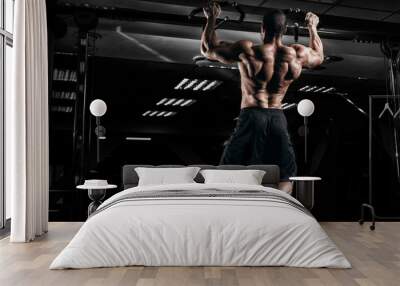 Muscular man bodybuilder training in gym and posing. Fit muscle guy workout with weights and barbell Wall mural