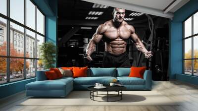 Muscular man bodybuilder training in gym and posing. Fit muscle guy workout with weights and barbell Wall mural