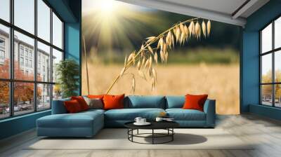 golden ear of oats against the blue sky and sun Wall mural