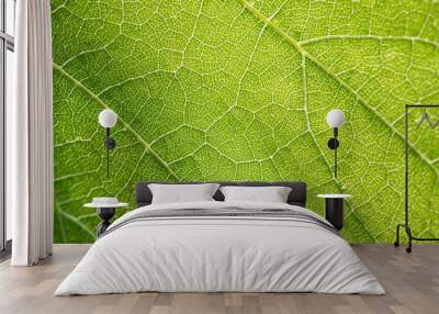 Grape leaf close-up Wall mural