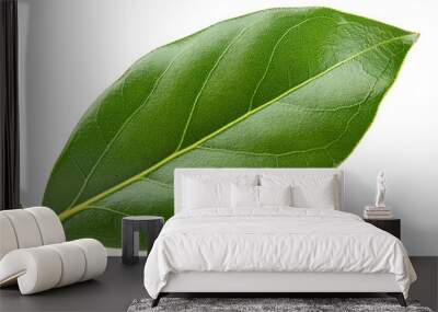  Bay Leaves Twig- Fresh green bay leaves, twig isolated on white, detailed with a clippi_1(3) Wall mural