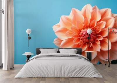  Close-up of a blooming dahlia flower on a light blue background, symbolizing natural beauty_1(371) Wall mural