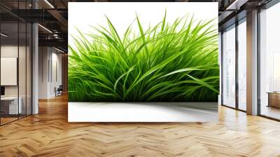  Green grass isolated on a white background – A simple depiction of green grass, isolated on_1(98) Wall mural