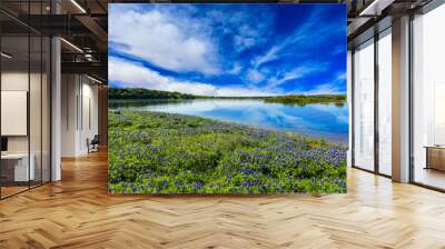 Texas Hill Country Wall mural