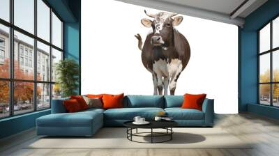 brown and white cow isolated on white background Wall mural