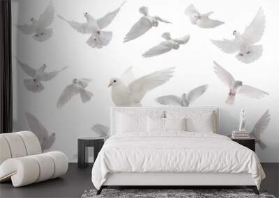 collage free flying white dove isolated on a white Wall mural