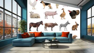 farm animals collage isolated on white background Wall mural