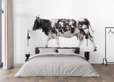 going black - white cow isolated on a white background. Wall mural