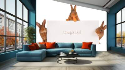 Rabbit Wall mural