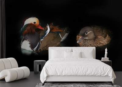 two mandarin duck Wall mural