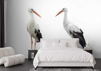 two stork Wall mural