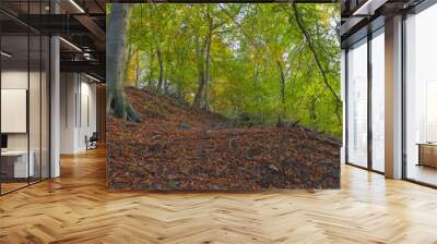 fantastico paesaggio del bosco in autunno, con alberi, betulle, larici con foglie gialle e arancioni Wall mural