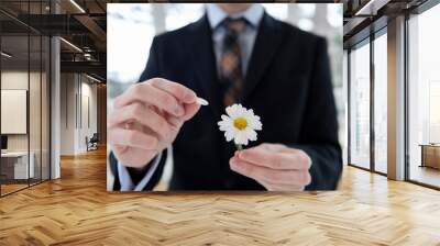 Man in a suit defoliating the daisy Wall mural