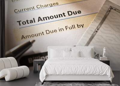 Credit card statement and check Wall mural