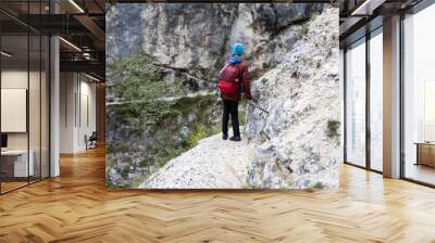 Careful Hiker Descending With the Help of an Iron Trail Security Wire on a Famous Travel Destination Hike in European Alps Wall mural