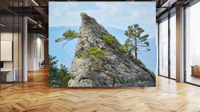 Summer mountain landscape. Tree on background of mountain landscape Wall mural