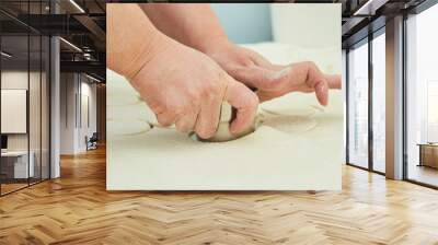 Women's hands in the process of making dumplings, ravioli or khinkali. The food of various peoples is dough with stuffing. Wall mural