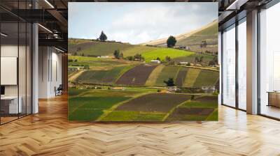 Beautiful crop field plantations in Oyacachi, Ecuador Wall mural