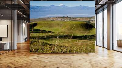 Ruins of Cochasqui pyramids, archaeological site, Ecuador Wall mural